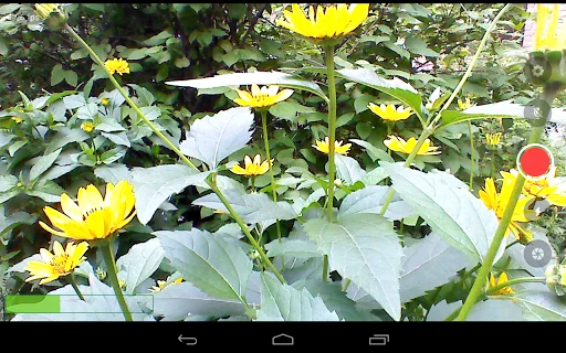 Download Larix Broadcaster – Pro Live Streaming Para sa Android - Screenshot 3